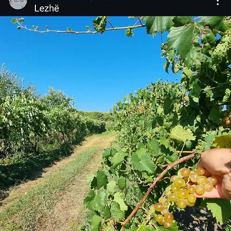 Gjegji Affittacamere