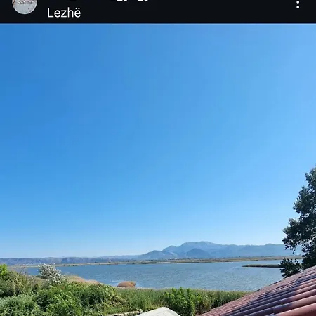 Gjegji *