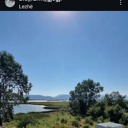 Gjegji Tale