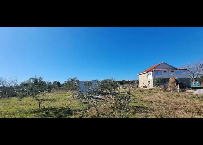 Gjegji *
