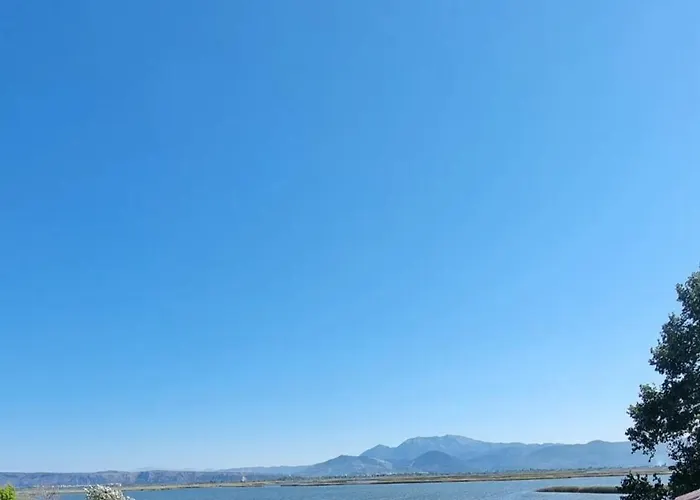 Gjegji *