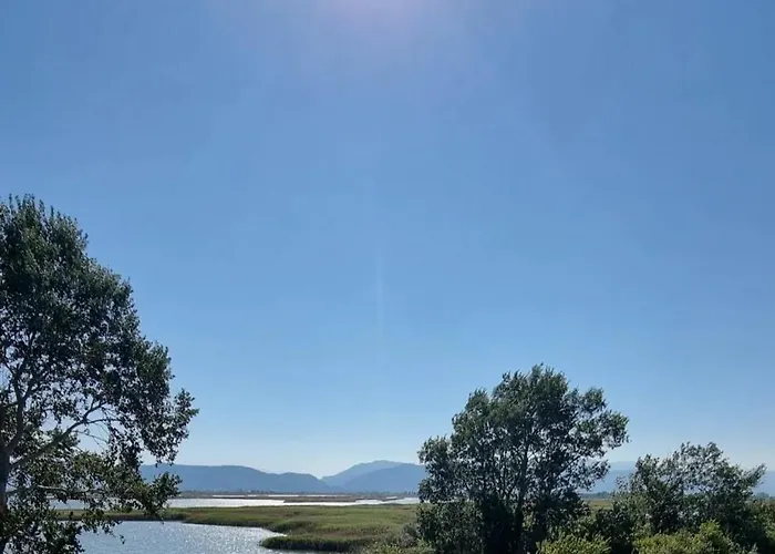 Gjegji Tale