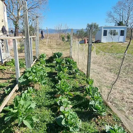 Gjegji Casa de hóspedes *