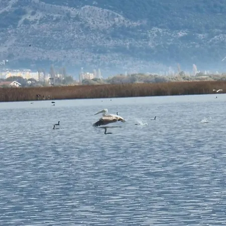 Penzion Gjegji Tale