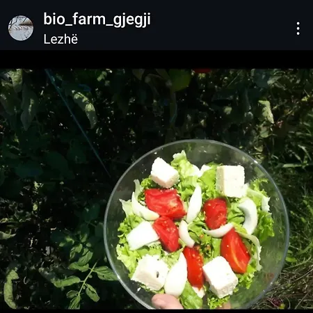 Penzion Gjegji *